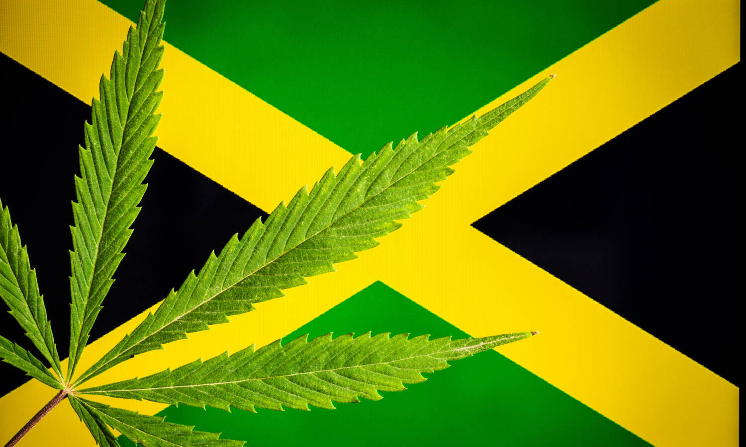 Jamaica flag cannabis