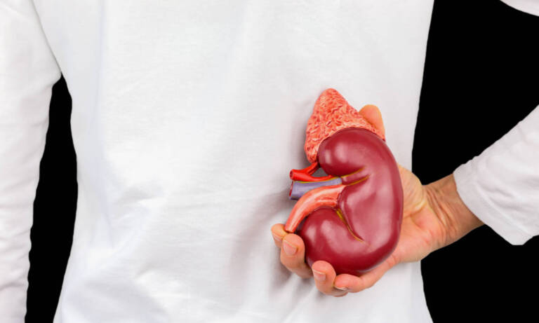 Cannabis Use Linked To—But Lacks Causal Effect In—Chronic Kidney Disease