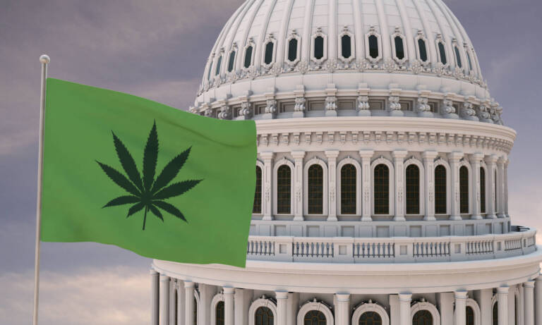 Which States Have Legal Weed Now?