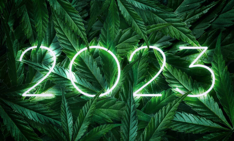 5 Things To Make Us Optimistic About Weed In 2023
