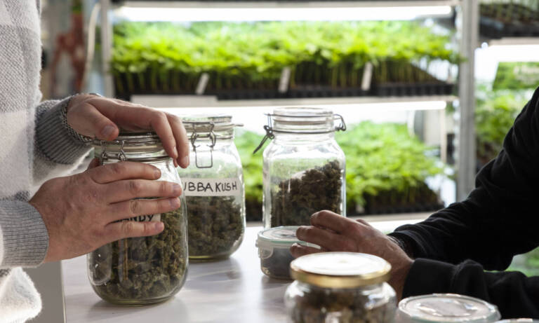 This State Is Next In Line For Adult-Use Sales