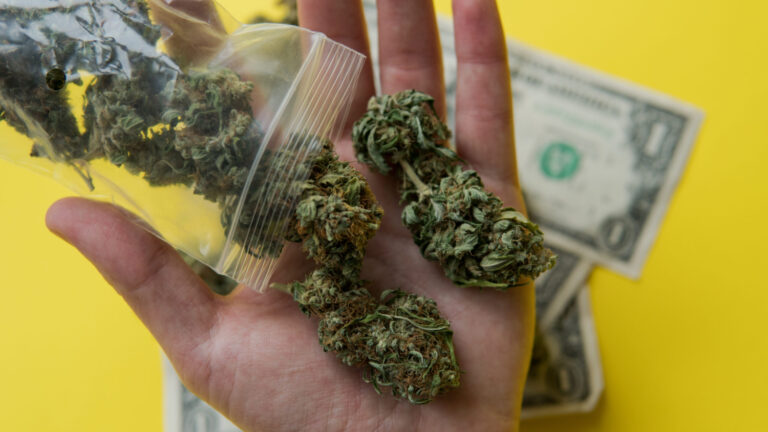 Legal Marijuana Leads To More Jobs And Economic Improvements — Here’s How