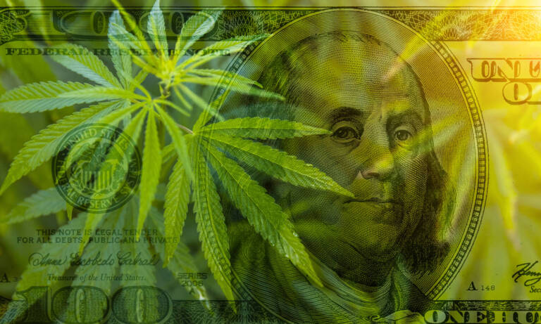 Marijuana States Sales Blow Expectations