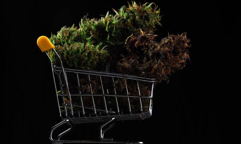 This City Just Kicked Off Adult Use Cannabis Sales