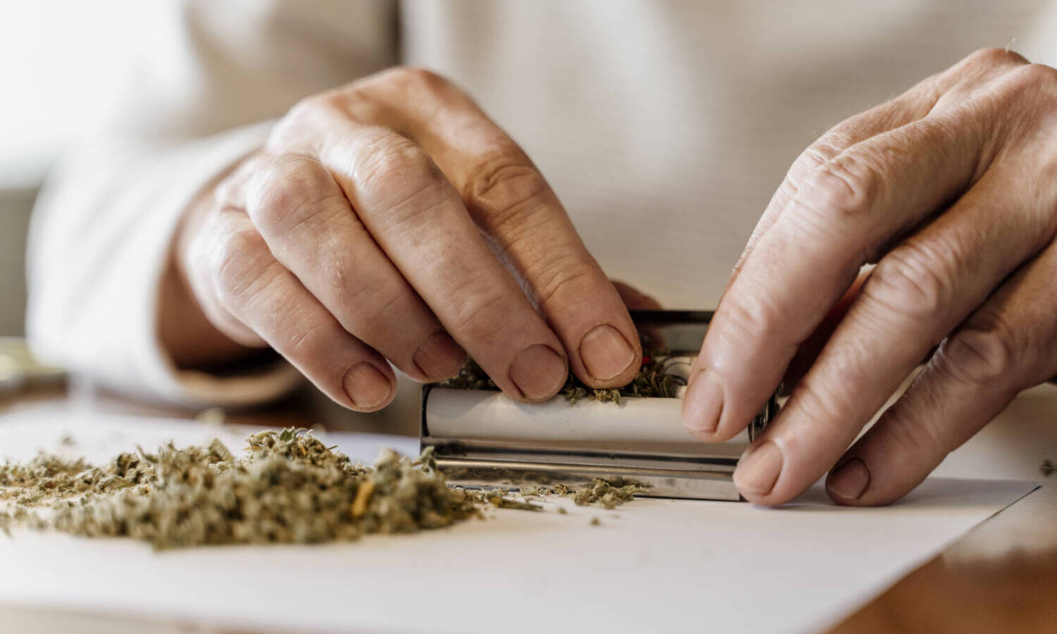 seniors cannabis