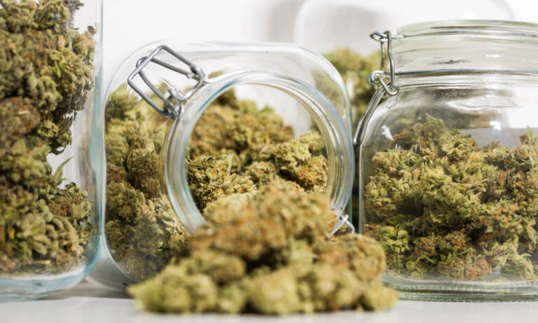 The Therapeutic Benefits Of Terpenes