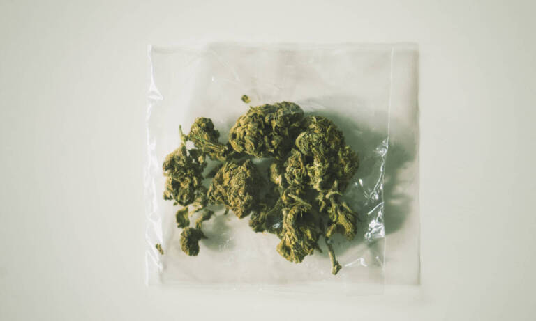 Understanding The Cannabinoids Delta-8, Delta-9, And Delta-10 THC