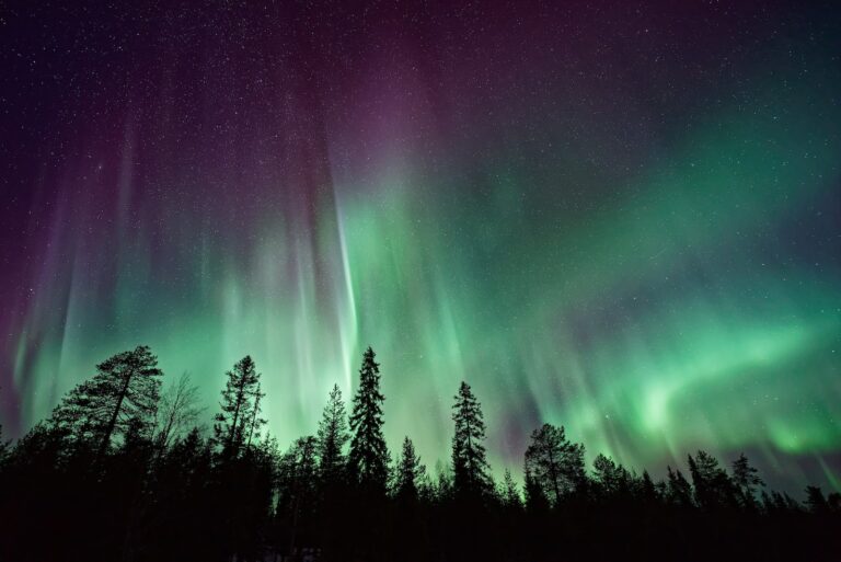 Tips To Chill When Seeing Northern Lights in the North America