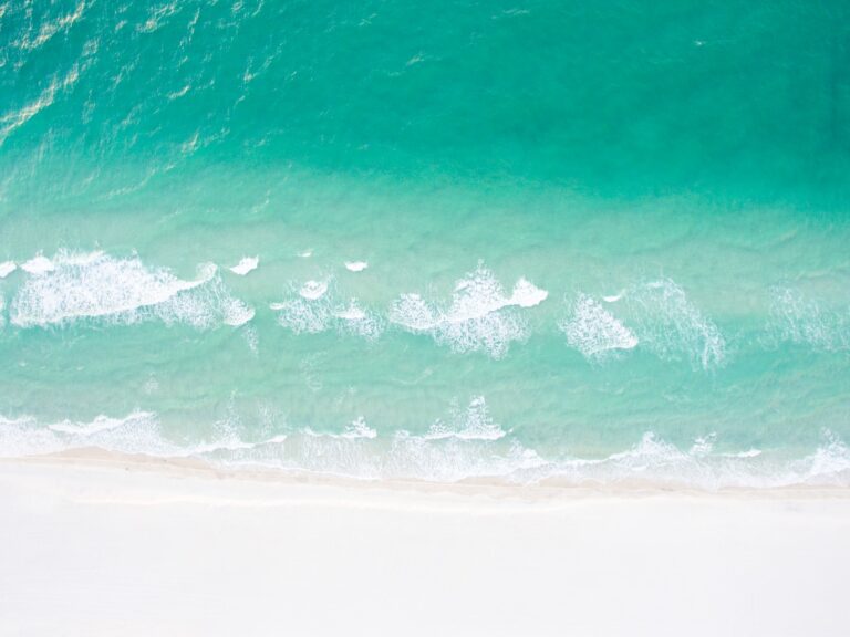 Florida Has A Math Problem When It Comes To Cannabis