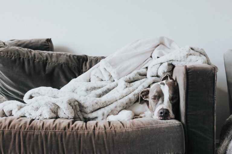 Being A Couch Potato Changes Your Personality