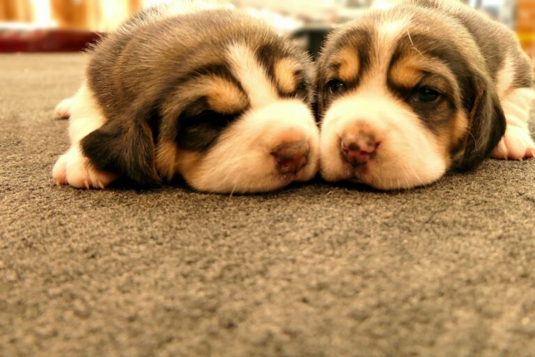 Tips To Cope With Your Partner During Lockdown