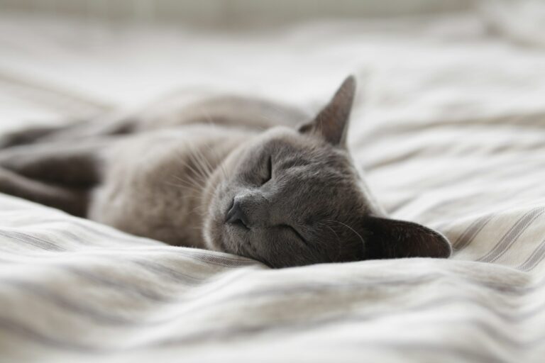 5 Things To Keep In Mind When Using Cannabis For Sleep