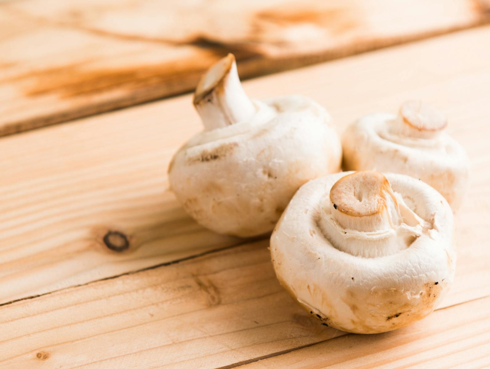 Fungi Or Filler, Demystifying The Superfood Mushroom Boom