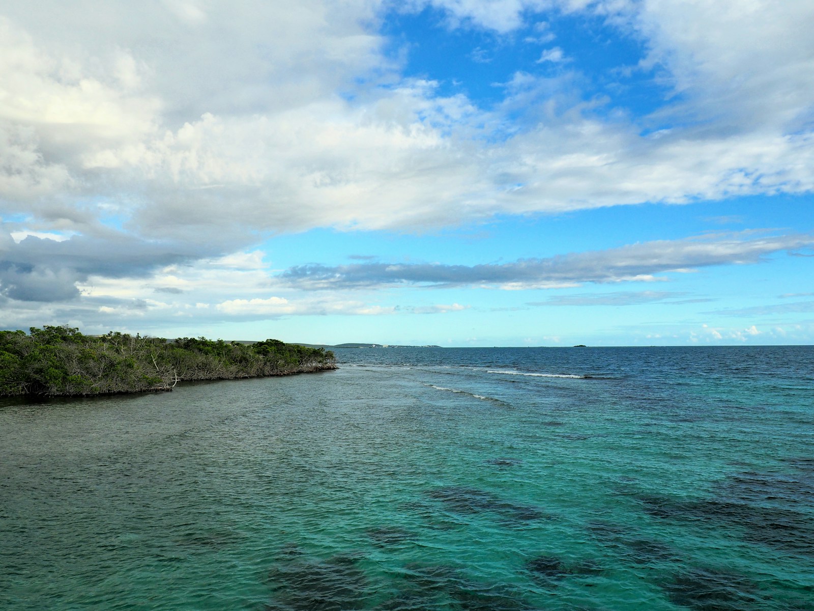 US Territory Puerto Rico And Cannabiswhite clouds during daytime