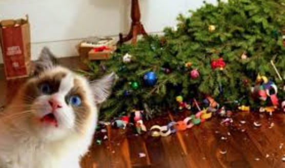 Can CBD Keep Cats From The Christmas Tree