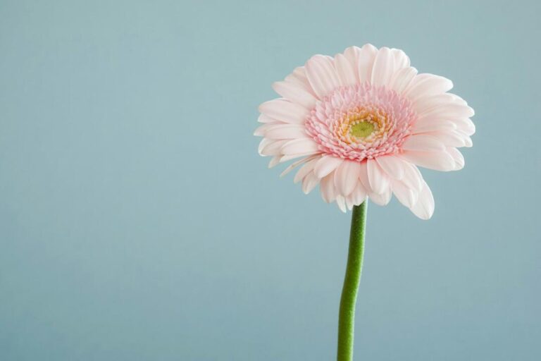 How To Practice Gratitude In Times Of Grief And Uncertainty