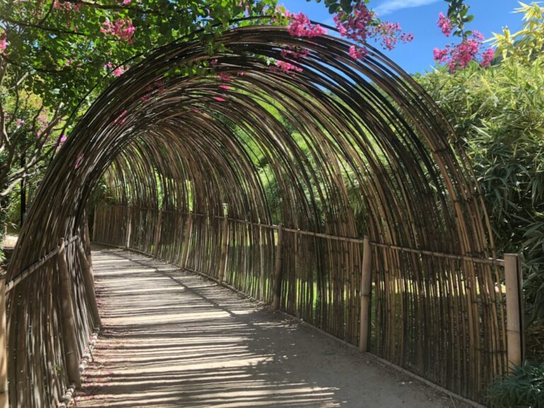 The Best Pro Tips For Consming Outdoors