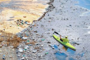 This Fish Could Change The Worldtrash