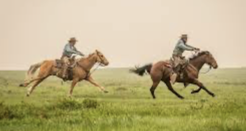 Congress Rides To The Rescue Of Your Favorite Hemp Drink