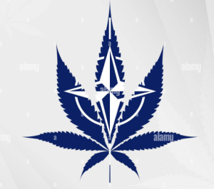 NATO Stands On National Security And Lately Social Change