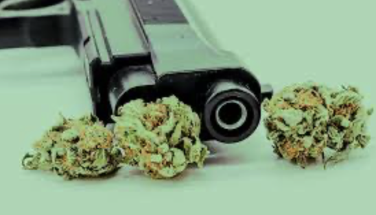 Today The Supreme Court Takes Up Guns And Cannabis
