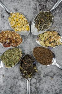 Nature’s Herbs Spotlighted for Modern Wellness