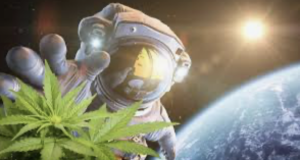 What About Consuming Marijuana In Space