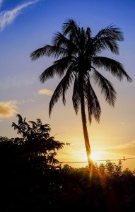 Can Cannabis Help With The Summer Vibe