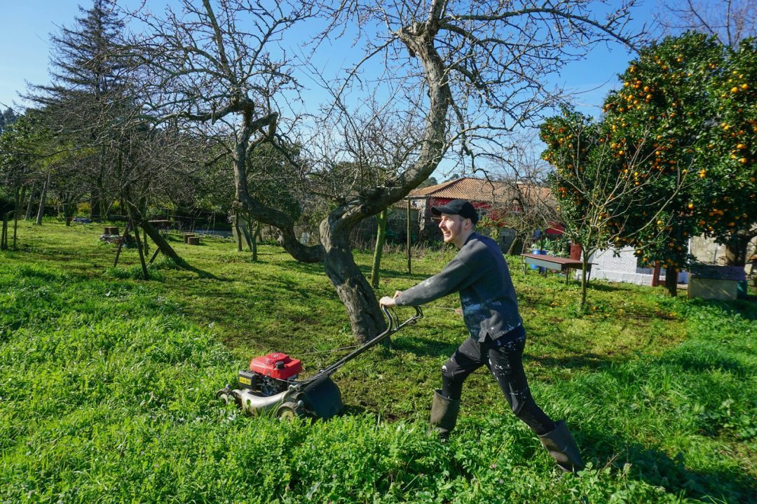 A Bit Of Marijuana Can Make Chores More Enjoyable
