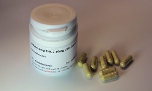 Can CBD Help Fight Cancer in Dogs