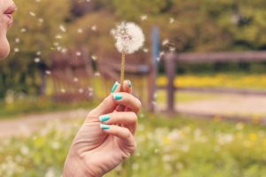 What To Know About Seasonal Allergies And Cannabis