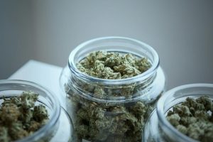 Day One of the Marijuana Rescheduling Hearing
