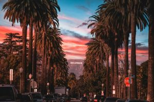 Canada's Cannabis Market Is Catching Up With California
