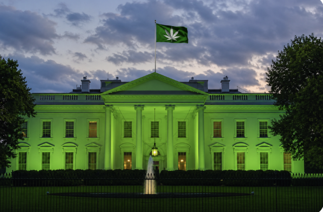 The White House Has Its Hand in Cannabis - But Who Is Benefiting
