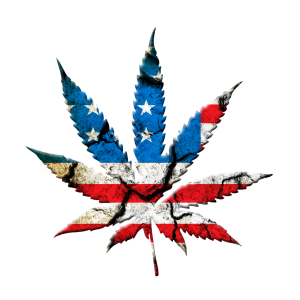 Federal Appeals Court Rejects Bid to Block Marijuana Rescheduling