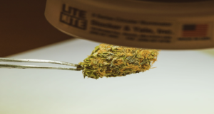 How to Store THCA Concentrates Properly for Long-Term Freshness
