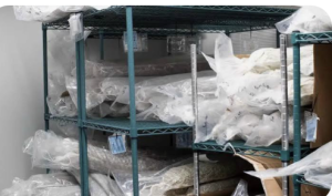 Cannabis Is Joining the Frozen Food Boom